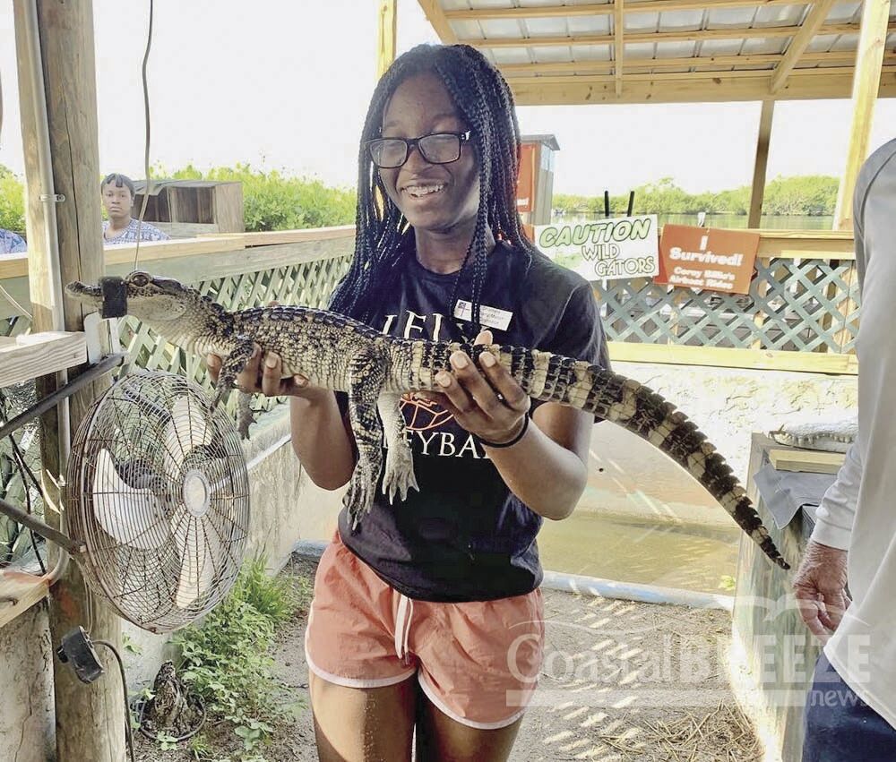 6. Qui a peur de tenir un alligator.jpg